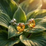 Classic 6mm Round Stud Earrings in 14K Gold