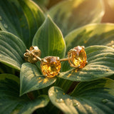 Classic 6mm Round Stud Earrings in 14K Gold