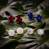 Classic 6mm Round Stud Earrings in 14K Gold