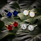 Classic 6mm Round Stud Earrings in 14K Gold