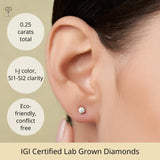 Everyday Solitaire Lab Diamond Studs in 14k Gold, IGI Certified