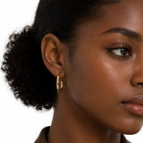 Classic Square Tubed Hoop Earrings in 14K gold