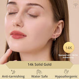 Solid 14K Yellow Gold Hoops Earrings for Women| Hypoallergenic Real Gold Earrings for Women | Anti Tarnish Solid Gold Earrings by MAX + STONE