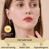 14k Solid Yellow Gold Hoops in Various Styles with Click-top Closures | Solid 14 Karat Gold Hoop Earrings | Hypoallergenic Real 14 Karat Hoop Earrings for Women by MAX + STONE