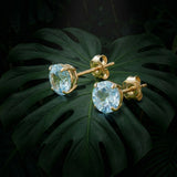 Classic 6mm Round Stud Earrings in 14K Gold