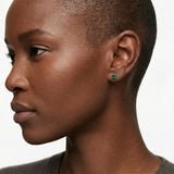 Classic 6mm Round Stud Earrings in 14K Gold