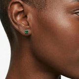 Classic 6mm Round Stud Earrings in 14K Gold
