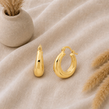 Classic Chunky Hoop Earrings in 14K Gold Plated