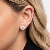 Halo Clear Crystal Stud Earrings in 925 Silver