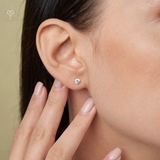 Everyday Cubic Zirconia Studs in 14k Gold