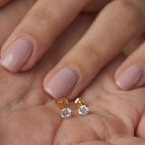 Everyday Cubic Zirconia Studs in 14k Gold