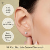 Everyday Solitaire Lab Diamond Studs in 14k Gold, IGI Certified
