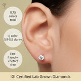 Everyday Solitaire Lab Diamond Studs in 14k Gold, IGI Certified