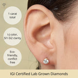 Everyday Solitaire Lab Diamond Studs in 14k Gold, IGI Certified