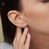 Everyday Cubic Zirconia Studs in 14k Gold