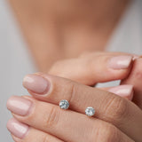 Everyday Cubic Zirconia Studs in 14k Gold